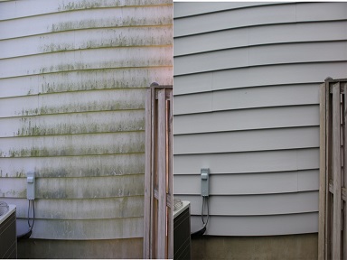 Before and after of pressure washing